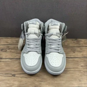 Air Jordan 1 High Dior