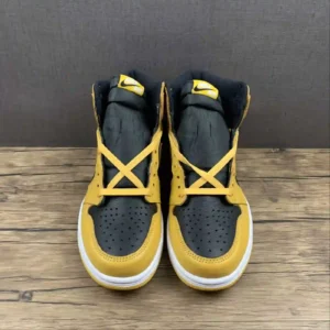 Air Jordan 1 High Pollen