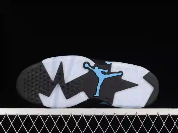 Air Jordan 6 UNC