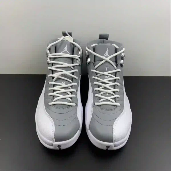 Air Jordan 12 Stealth