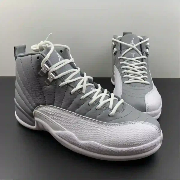 Air Jordan 12 Stealth