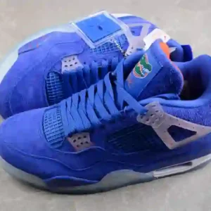 Air Jordan 4 Gators