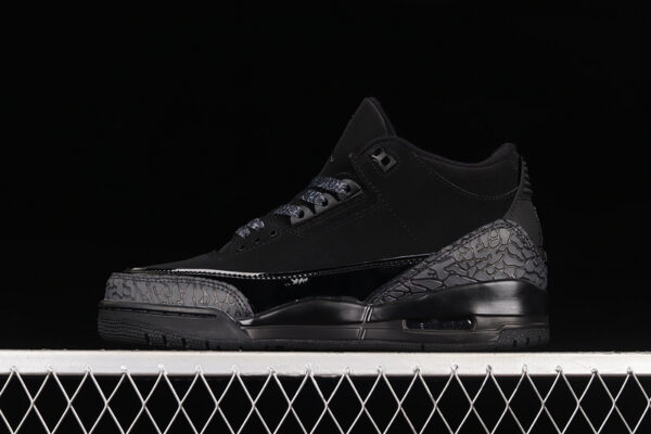 Air Jordan 3 Black Cat