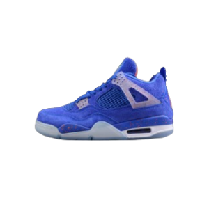 Air Jordan 4 Gators